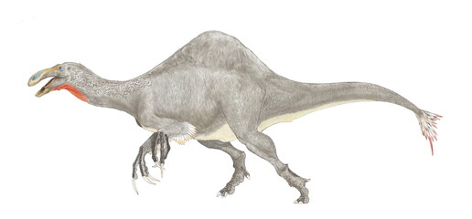 恐竜ディノケイルスの復元想像図。白亜紀末期に生存した大型雑食性の恐竜。最近まで全長4メートルの巨大な両腕の骨格のみが知られていたが、未確認の胴体部分が2006年、2009年に発見されていたことを確認し、再現性が一気に高まった。歯はなく、背中に高い帆を持つ。ディノケイルスという属名は「恐ろしい手」を意味するが、魚食と植物食の雑食性でおとなしい恐竜であったとされる。
