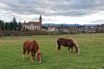 Baden-Württemberg - St. Peter (Schwarzwald)
