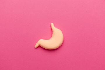 Human stomach model on pink background. Abdominal disease. Treating stomach inflammation.