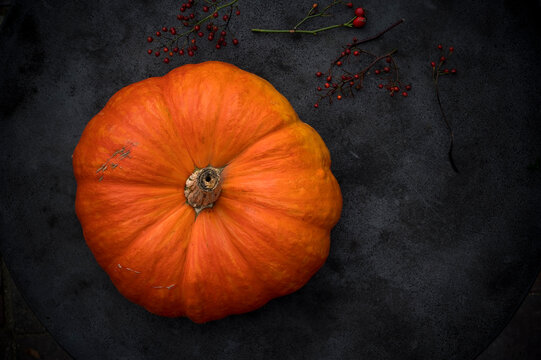 Giant pumpkin and rose hips on rustic baking sheet