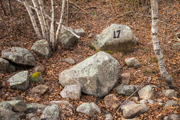 USA, Massachusetts, Cape Ann, Gloucester. Dogtown Commons, house foundation marker 17, ruins of old...