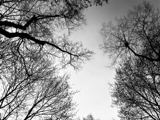 Krakow - Poland
By Rio