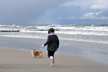 Spring landscape of the Baltic Sea in early March 2021. The owner walks with a Welsh Corgi dog on the beach.