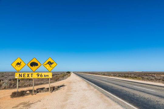 Australia, South Australia, Nullarbor Plain, Warning sign by Eyre Highway