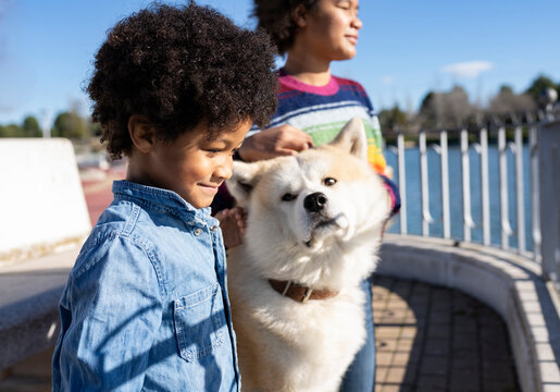 Brother and sister looking away while standing by dog at park