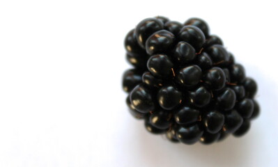 isolated blackberry on white background