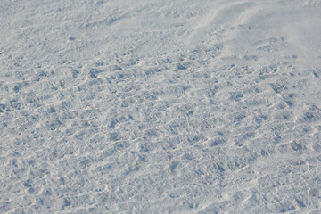 Snow texture. Snow surface background. Snow and ice.