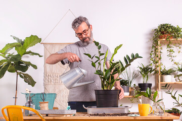 Man watering Zamioculcas Zamiifolia plant with watering can while standing at home