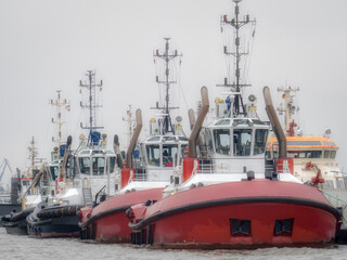 Germany, Hamburg, Row of tugboats moored in harbor