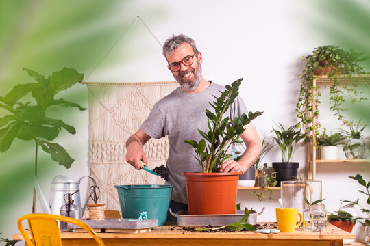 Smiling man using trowel while repotting Zamioculcas Zamiifolia in flower pot at home