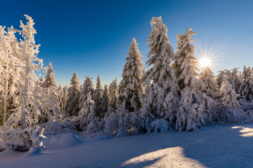 Germany, Baden Wurttemberg, Black Forest in winter