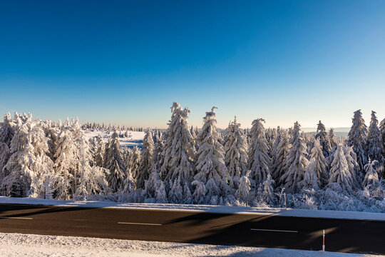 Germany, Baden Wurttemberg, Black Forest in winter
