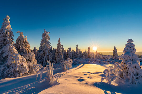 Germany, Baden Wurttemberg, Black Forest at sunrise in winter