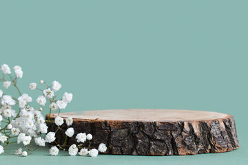 A minimalistic scene of a felled tree lies with flowers on a natural background. Catwalk for the...