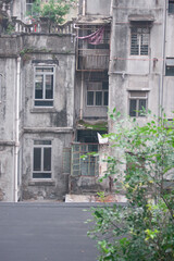 Fototapeta na wymiar Back facade with green foliage in urban jungle, Hong Kong Island, China.