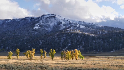 mountains in lamar valley with early autumn snowfall in yellowstone national park © chris