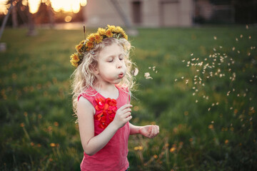 Caucasian girl blowing dandelions. Kid with flower chaplet on meadow. Outdoor fun summer seasonal children activity. Child having fun outside. Happy childhood lifestyle.