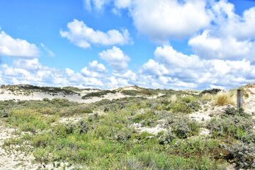 Fototapeta na wymiar Beautiful Dutch landscape with dunes and a picturesque cloudy sky, Netherlands, Holland, Europe