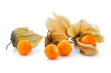 Physalis fruit ( Physalis peruviana) isolated on a white background