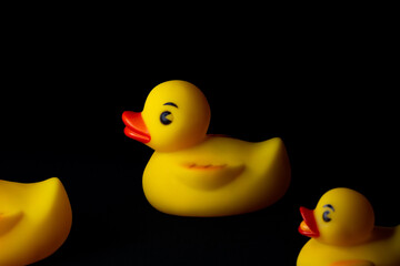 Fototapeta premium Yellow Rubber Ducks
