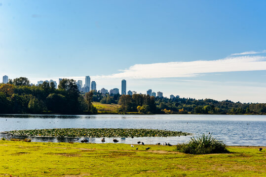 Deer Lake Park, Burnaby, BC, Canada - December, 2019