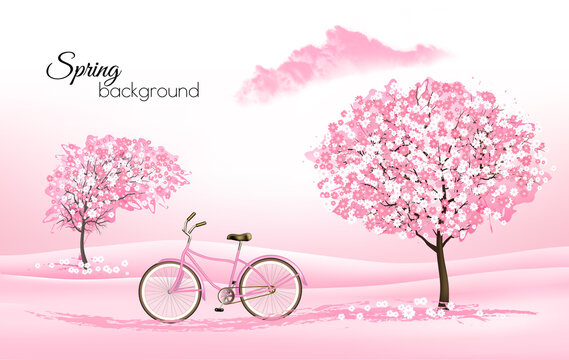 Spring nature background with a blossoming sakura trees and a pink bike. Vector.