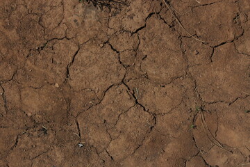 cracked soil texture