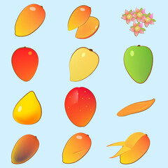 マンゴーコレクション - Mango Collection