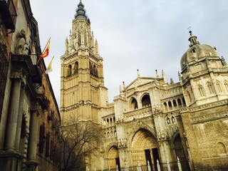 Fototapeta premium photo