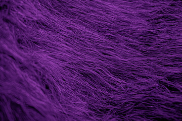 Purple Thread Design