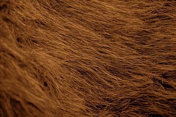 Brown Caramel Thread Design