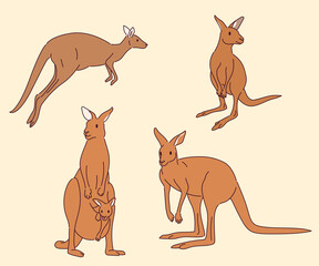 A set of kangaroo characters in various poses.