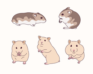 Cute hamster illustration