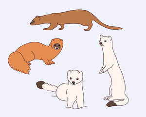 Cute marten illustration