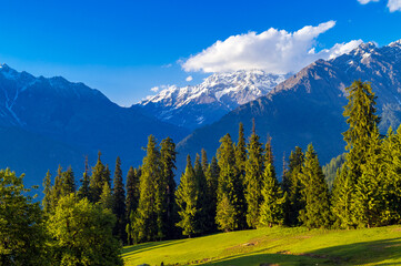 Landscape in the summer. These are the scenic meadows of the Himalayas. Peaks and alpine landscape from the trail of Sar Pass trek Himalayan region of Kasol, Himachal Pradesh, India. - obrazy, fototapety, plakaty
