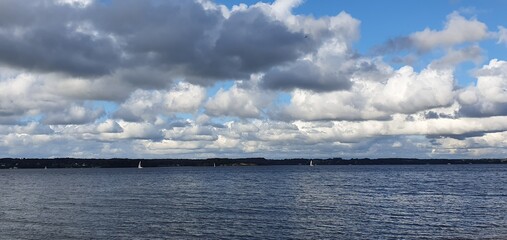 lake and forest