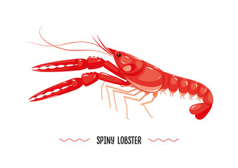 Sriny lobster profile prepared isolated on white background. Seafood. Vector illustration, icon, sign, simbol, log, sticker for poster, banner, label, packaging