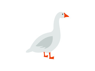 goose on a white background