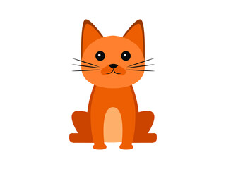 cute orange cat