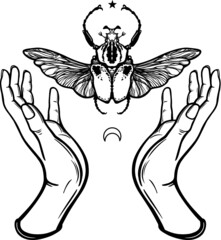 Human hands hold Goliath's bug. Symbols of the moon. Mysticism, esoterics, sorcery. Coloring book. Vector illustration isolated on a white background.