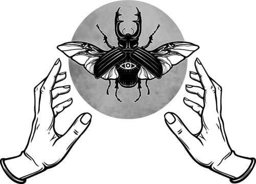 Human hands hold a fantastic bug. Symbols of the moon. Mysticism, esoteric, sorcery. Vector illustration isolated on a white background.