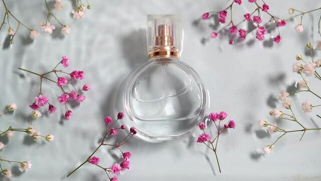 Glass perfume bottle and gypsophila flowers in blue water background. Floral arrangement, splashes and drops of water