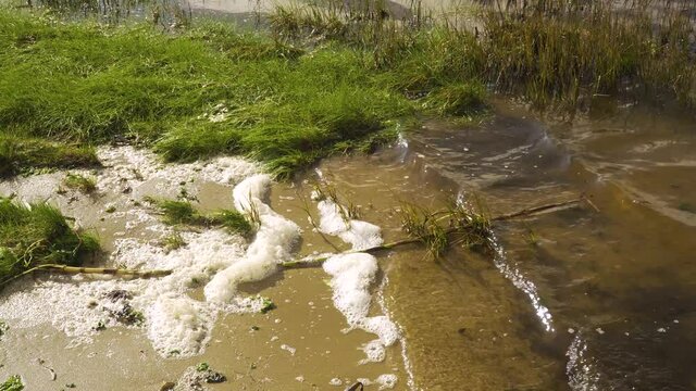 4K river foam settling in the bedside of the Ria de Aveiro on the estuary of river Vouga, 60fps.