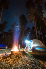 summer camping under the starry night in Custer State Park in South Dakota.
