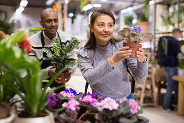 Portrait of woman chooses flowers geranium in flower shop