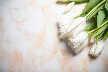Spring White Tulips on Marble Background 