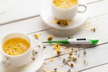 two cups of fragrant flower tea, soothing, medicinal, antipyretic on a white wooden background with dry yellow flowers and a thermometer