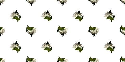 Fototapeta na wymiar Beautiful seamless pattern with jasmine flowers