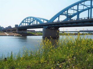 the tamagawa river, a major river in japan