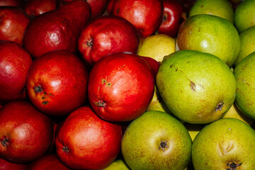 red and green Pears